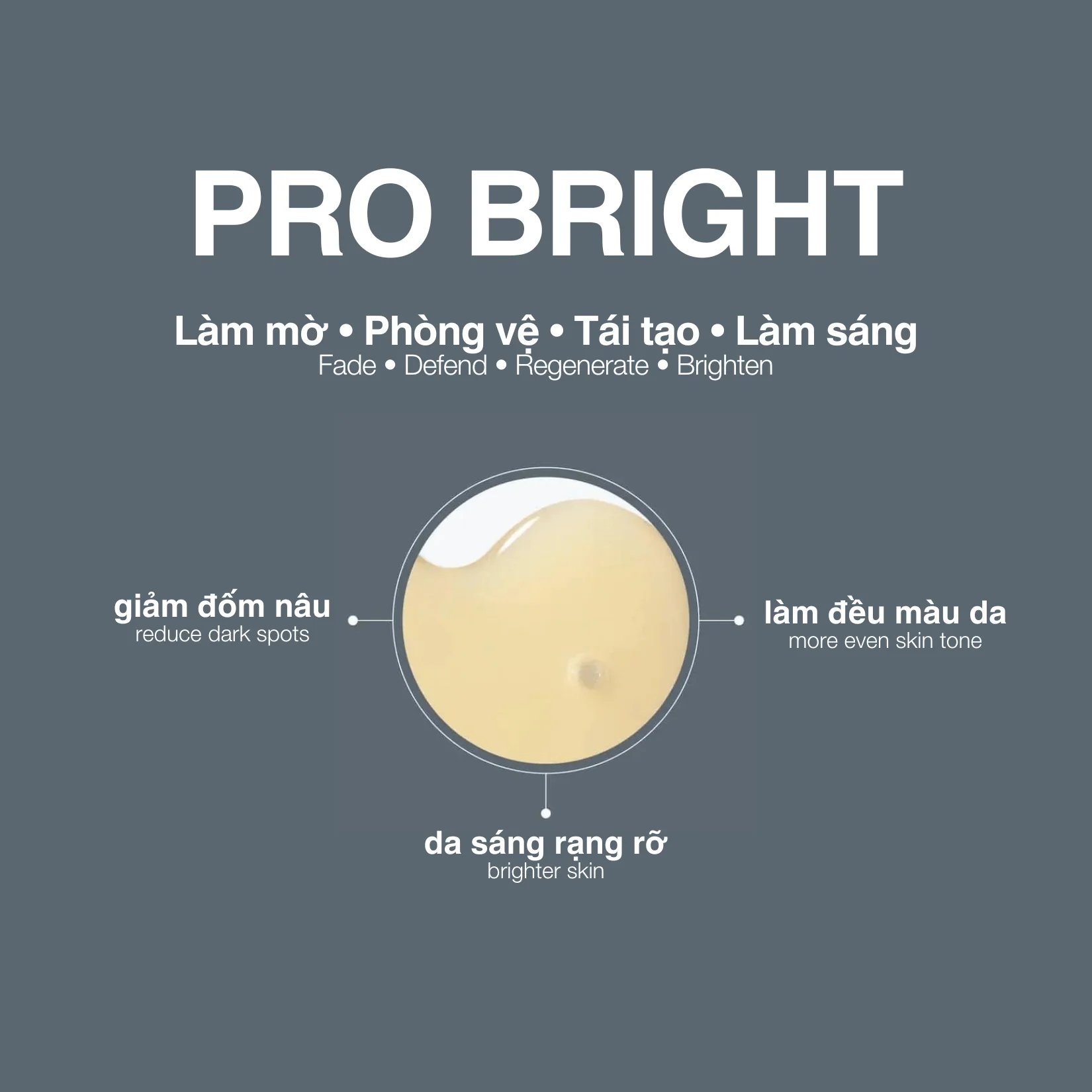 Pro Bright - Ảnh 2